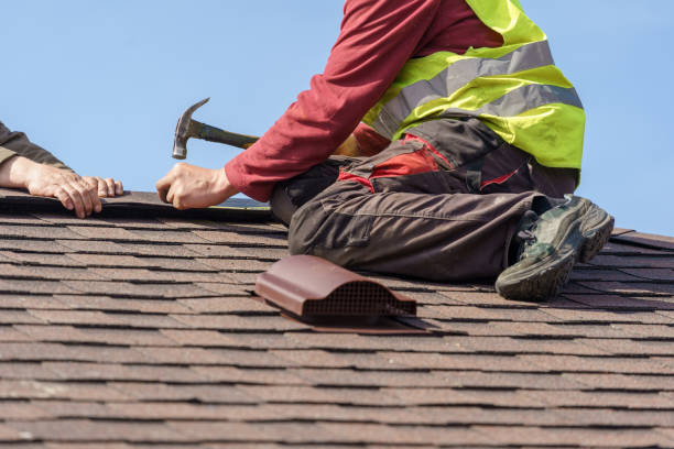 Best Gutter Installation and Roofing  in Danvers, IL