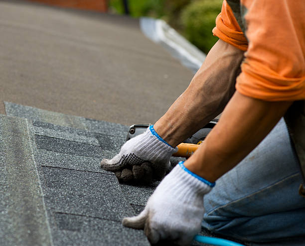 Best Roof Leak Repair  in Danvers, IL
