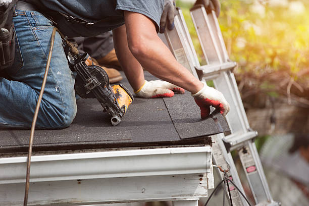 Best Roof Waterproofing Services  in Danvers, IL